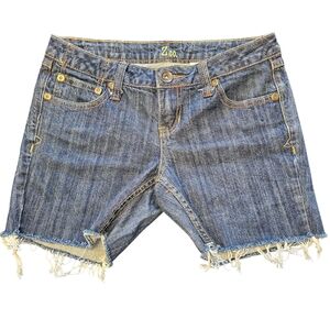 ZCO Distressed Blue Jean Shorts